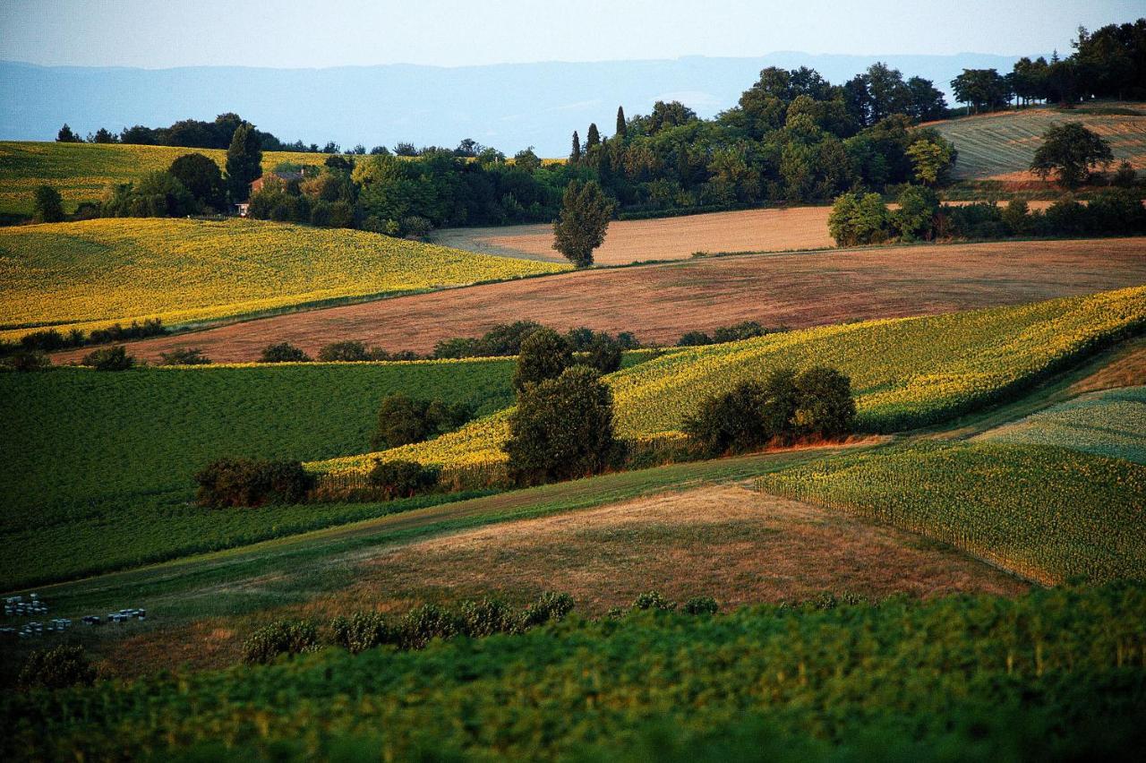 Auberge Du Poids Public Logis Hotel Saint-Félix-Lauragais Dış mekan fotoğraf
